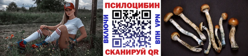 Галлюциногенные грибы мицелий  Купить закладки  Белозерск 
